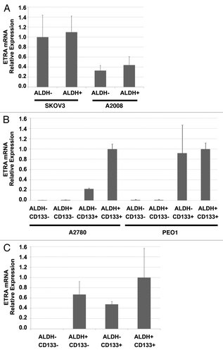 Figure 4. ETRA is preferentially expressed in CD133+ ovarian cancer stem cells. (A) qRT-PCR demonstrating a lack of differential expression of ETRA in ADLH (+) and ALDH (-) cell populations of SKOV3 and A2008 cell lines (which do not express CD133). (B) qRT-PCR demonstrating preferential expression of ETRA in CD133+ cells from A2780 and PEO1 cell lines. (C) qRT-PCR demonstrating preferential expression of ETRA in ALDH+CD133- ALDH-CD133+ and ADLH+CD133+ primary human ovarian cancer stem cells vs. ALDH-CD133- progenitor cells.