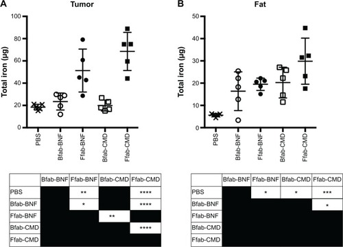 Figure 6 In vivo biodistribution of IONPs following IP administration. Figure 7 Histology of excised tumors from ovarian cancer model.Notes: Representative images where the tumor and peritoneal membrane are indicated. HE of tumor sections from animals treated with (A) PBS, (B) Bfab-BNF, or (C) Ffab-BNF. (D, E, F) Prussian blue staining of the same slides, respectively, to identify IONPs.Abbreviations: HE, hematoxylin eosin; PBS, phosphate-buffered saline; fab, an engineered monoclonal antibody fragment; Ffab, Farletuzufab, engineered from monoclonal antibody Farletuzumab; Bfab, Botulifab anti-botulinum toxin fab fragment; IONPs, iron oxide nanoparticles; BNF, bionized nanoferrite.Display full sizeNotes: Total iron content of various tissue compartments is shown: (A) tumor; (B) fat; (C) liver; (D) spleen; and (E) kidney. Data obtained by ICP-MS from five mice per group approximately 18 hours post-injection. Statistical significance was analyzed by one-way ANOVA with a Tukey multiple comparison post-test, and the results of individual comparisons are provided in the tables below each graph. ****P<0.0001; ***P<0.001; **P<0.01; *P<0.05.Abbreviations: PBS, phosphate-buffered saline; fab, an engineered monoclonal antibody fragment; Ffab, Farletuzufab, engineered from monoclonal antibody Farletuzumab; Bfab, Botulifab anti-botulinum toxin fab fragment; CMD, carboxymethyl-dextran; rFOLRα, recombinant folate receptor alpha; BNF, bionized nanoferrite; IONPs, iron oxide nanoparticles; IP, intraperitoneal; ICP-MS, inductively coupled plasma mass spectrometry; ANOVA, analysis of variance.