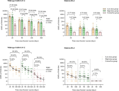 Figure 2. NAbs against live wild-type SARS-CoV-2 and omicron BA.1 subvariant after a booster vaccination. Horizontal bars show GMTs and error bars show 95% confidence intervals. Data (folds) above the bars are the NAb GMT ratios of the homologous boost group to the heterologous boost group. Long lines connecting the GMTs of adjacent groups indicate trends in NAbs over days after a booster vaccination. Data (%) above the bars show the percent reduction in GMTs of NAb titres at day 90, day 180 and day 360 post-boost compared to day 28. All horizontal dotted lines denote the cutoff levels for positivity (1:8) or the levels of WHO international standard (NIBSC code 20/136). Data below the cutoff level were assigned half the limit. GMT = geometric mean titre in serum. NAb = neutralizing antibody.