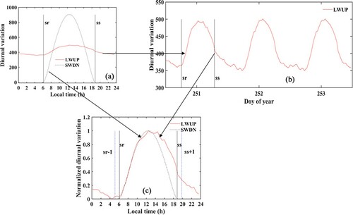 Figure 16. Schematic diagrams of original and normalized diurnal cycles of LWUP and SWDN at station ‘SGP C1 Lamont’ for DOY 251, 2004. sr is sunrise time and ss is sunset time. (a) and (b) are the original diurnal cycles, and (c) is the normalized diurnal cycles of LWUP and SWDN.