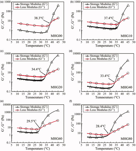 Figure 3. The dynamic temperature sweep tests of the MHGs with varying MNP contents: (a) MHG00; (b) MHG10; (c) MHG20; (d) MHG40; (e) MHG60; (f) MHG80.