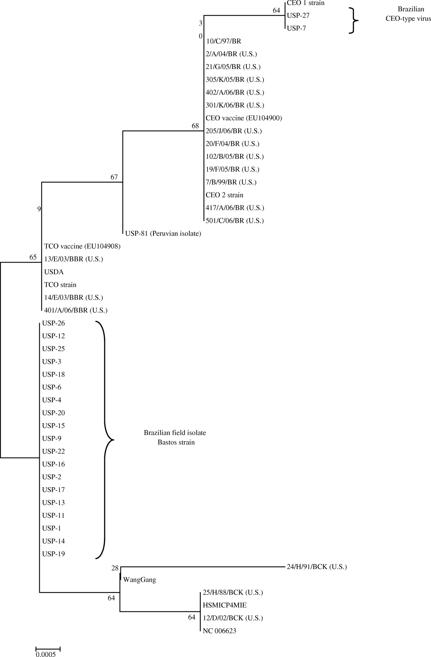 Figure 2.  Phylogenetic tree generated from the nucleotide sequences of a 688-bp ICP4 gene fragment from the ILTV field isolates and vaccine strains. Bootstrap confidence levels are presented.