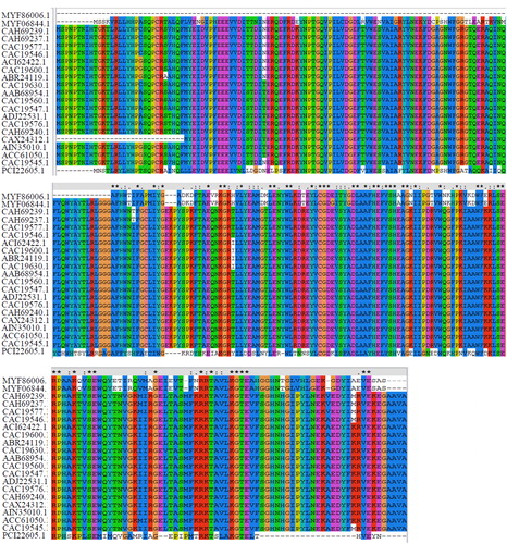 Figure 4. Multiple sequence alignment of DCM dehalogenase. Conserved residues are highlighted in different colors.