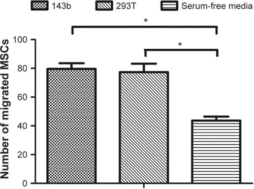 Figure 1 Number of migrated MSCs in transwell test.