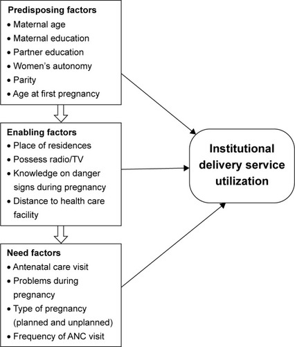 Figure 1 Conceptual framework.