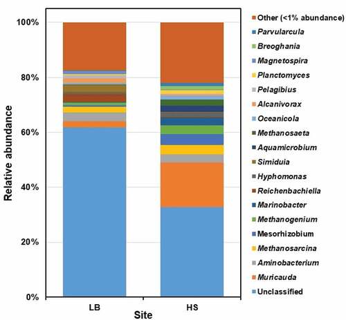 Figure 4. The prokaryotic community composition of Sargassum waste at genus level. LB, Long Beach; HS, Harrismith beach. The DNA extracted from quadruplicate Sargassum samples from each beach was pooled into one representative sample, and then used to prepare the Illumina sequencing libraries targeting the V3-V4 region of the 16S rRNA gene.