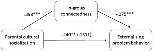 Figure 1. Path model of the association between parental cultural socialization and externalizing problem behavior mediated by in-group connectedness for Turkish-Dutch youth.Notes: The total effect is shown between brackets. ***p < .001; **p < .01; *p < .05; †p < .10; gender (b = .21; SE = .09; p < .05) and education (b = −.19; SE = .09; p < .10) were (marginally) significantly associated with externalizing problem behaviour.