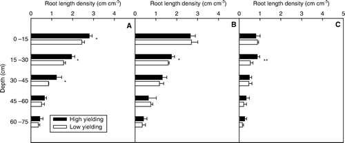 Fig. 6  Root length density in high- and low-yielding soybean pools along soil profiles, for each of following positions: on plant (A); at halfway between plants (B); at halfway between rows (C). Note: * and ** indicate depths at which root densities of the two yielding pools were significantly different at P < 0.05 and P < 0.01, respectively; bars represent standard error of the mean (n = 4)