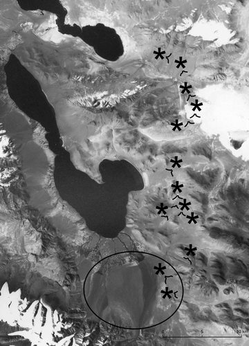 Figure 6 Intensive antelope trapping area southeast of Memar (top) and Aru (center) Lakes in the Aru Basin and vicinity of the northwest Chang Tang (see Fig. 1), showing the locations (large asterisks) and orientation (small black drawings) of 13 dzaekha. These sites are near the beginning of the female antelope's northward calving migration. The large flat open area south of Aru Lake (black oval) is a well-known antelope wintering, mating, and migratory staging area.