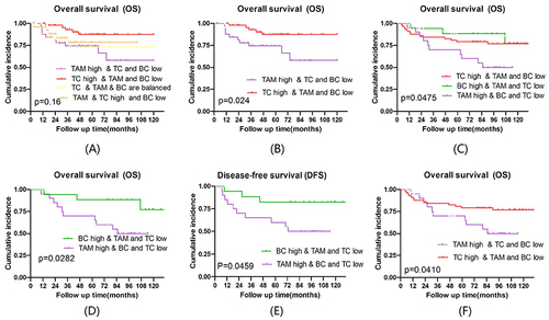 Figure 2 KM plot of different clusters in TNBC patients in public datasets and on our cohort. Tumor associated macrophages (TAMs), T cell (T lymphocytes), B cell (B lymphocytes). (A) KM plot of clusters 1–4 for OS in public datasets. It did not show significant difference of four clusters in KM plot (P>0.05). (B) KM plot of clusters 1 vs.2 for OS in public datasets. Cluster 2 (T lymphocytes-enriched subtypes) had significantly longer OS than Cluster 1 (Tumor associated macrophages-enriched subtypes) (P<0.05). (C) KM plot of clusters 1–3 for OS on our cohort. Significant difference of OS was observed between three clusters in KM plot (P<0.05). (D and E) KM plot of clusters 2 vs 3 for OS and DFS on our cohort. Cluster 2 (B lymphocytes-enriched subtypes) had significantly longer OS and DFS than Cluster 3 (Tumor associated macrophages-enriched subtypes) did (P<0.05). (F) KM plot of clusters 1 vs.3 for OS on our cohort. Cluster 1 (T lymphocytes-enriched subtypes) had significantly longer OS than Cluster 3 (Tumor associated macrophages-enriched subtypes) did (P<0.05).