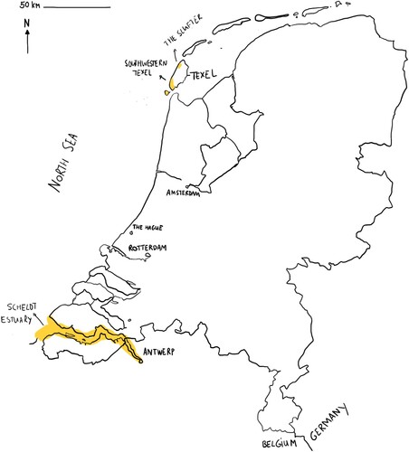 Figure 1. Schematic map of the location of the case study activities (in yellow) in the Netherlands (adapted from D’Hont Citation2020).