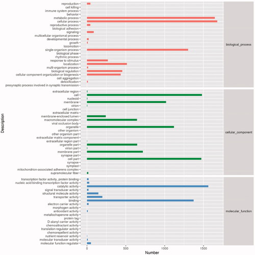 Figure 3. Gene ontology functional classification of the unigenes from Antrodia cinnamomea.