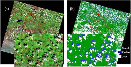 Figure 2. An example of cloud and cloud shadow detection for the Landsat scene (32/26) acquired on 26 July 2013: (a) the Landsat-8 scene composite (red: SWIR band, green: NIR band, blue: RED band), where clouds and the shadows can be visually identified; (b) classified map derived from the Fmask algorithm.