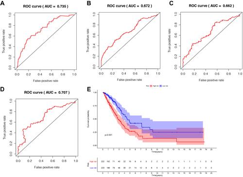 Figure 4 The prognostic indicators of the five autophagy-related lncRNAs signature. (A) 1-year survival ROC curve for LUAD patients. (B) 3-year survival ROC curve for LUAD patients. (C) 5-year survival ROC curve for LUAD patients. (D) 7-year survival ROC curve for LUAD patients. (E) Kaplan–Meier survival curve of the high-risk and low-risk groups for LUAD patients.