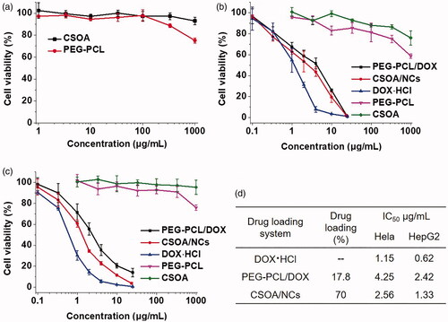 Figure 8. Cell viability of (a) blank materials against NIH 3T3 cells. Cell viability of blank materials, PEG-PCL/DOX and CSOA/NCs after incubation with (b) Hela and (c) HepG2 cells for 48 h, of which (d) the drug loading content and IC50 were exhibited in the table.