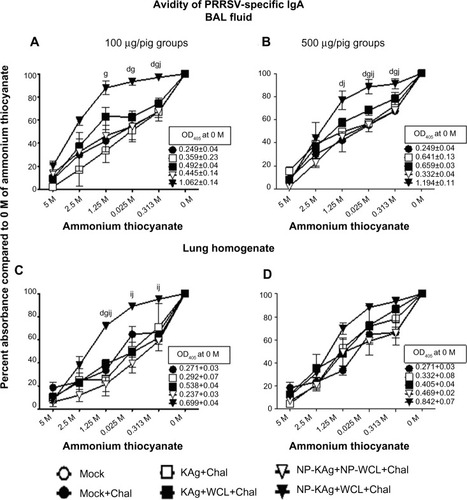 Figure 2 High avidity PRRSV-specific antibodies were produced in the lungs of pigs vaccinated with adjuvanted NP-KAg.Notes: Pigs were vaccinated or unvaccinated with indicated vaccine and adjuvant combination and challenged with PRRSV MN184. BAL fluid (A and B) and lung homogenate (C and D) samples collected on the day of necropsy were analyzed for avidity of PRRSV-specific IgA by avidity ELISA. Each symbol indicates the mean percent absorbance value in experimental wells over the 0 M wells of three pigs ± standard error of mean. Lowercase letters indicate statistically significant (P<0.05) differences between the two indicated pig groups: d, Group 2 vs Group 6; g, Group 3 vs Group 6; i, Group 4 vs Group 6; j, Group 5 vs Group 6.Abbreviations: SEM, standard error of mean; Chal, challenge; ELISA, enzyme-linked immunosorbent assay; IgA, immunoglobulin A; KAg, killed/inactivated antigen; PC, post-challenge day; NP-KAg, nanoparticle-entrapped killed antigen; OD, optical density; PRRSV, porcine reproductive and respiratory syndrome virus; WCL, whole-cell lysate of M. tb; M. tb, Mycobacterium tuberculosis.