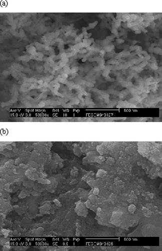 Figure 4. SEM images of (a) original ZVI particles and (b) ZVI particles subject to 700 W microwave irradiation for 60 sec.