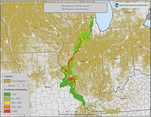 Figure 8. Results of species distribution modeling for decurrent false aster (from an unpublished report from NatureServe and Syngenta Crop Protection)