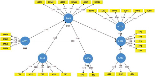 Figure 2. Measurement model—factor loadings and coefficients values.