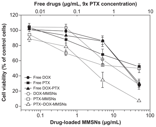 Figure S5 The growth inhibition of A549 cells induced by free or drug-loaded MMSNs with the approximate drug-loading amounts. The DOX-MMSNs loading content was 90 μg/mg, while the PTX-MMSNs loading content was 10 μg/mg. The cell growth inhibition induced by drugs loaded in MMSNs is more significant compared to that induced by free drugs.Abbreviations: DOX, doxorubicin; MMSNs, magnetic mesoporous silica nanoparticles; PTX, paclitaxel.