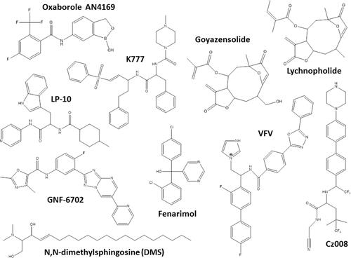 Figure 3 Chemical structures of the miscellaneous classes of most promising compounds with different mechanisms of action that induced cure with parasite elimination in mice.