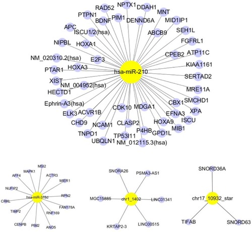 Figure 3 miRNA target genes.