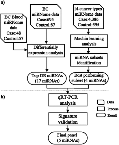 Figure 1. Flow work of the present study. The Bioinformatics analyses (machine learning and differential expression approaches) (a) together with wet-lab analyses were undertaken for identification, assessment and validation of a set of miRNAs capable of detecting BC at early stages (b). The data of 14 TCGA cancer types and a dataset of blood miRNome (GSE31309) were used as the input data of Bioinformatics analyses. The qRT-PCR method followed by statistical analysis of the results were utilized for final validation of the bioinformatics phase. DF = differentially expressed, miRNA = microRNA, BC = Breast Cancer, qRT-PCR = quantitative real time PCR