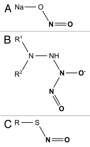 Figure 1. Chemical structure of sodium nitrite (A), diazeniumdiolate bound to an amine group (B) and S-Nitrosothiols group (C).
