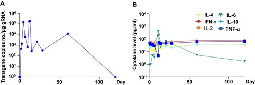 Figure 3 Patient responses after infusion. (A) After infusion, the number of CAR copies in the peripheral blood continued to increase and reached the highest value on day 10. The number of CAR copies remained high even after administration 320 mg tocilizumab. No CAR copies were detected 120 days after infusion. (B) Serum cytokine levels increased after anti-CD19 CAR-T cell infusion.