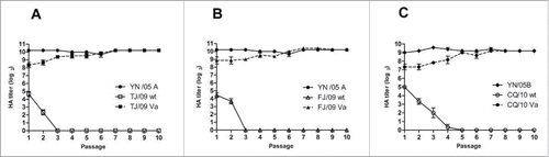 Figure 1. Growth profiles of 2 master donor YN/05A, YN/05B, and reassortant viruses FJ/09Va, TJ/09Va, and CQ/10Va and 3 wild type parental viruses. Wild type and reassortant viruses grown in Vero cell incubated at 33°C for 3 d. Viral titers were determined by HA assay. Error bars indicate the SD of each cohort. “Passage 1” represented the original wild viruses and new reassortant viruses at the first generation. Earlier, it constructed a bank of donor viruses with adaption of the Vero cell, which called stock viruses. It used the 57th (A/Yunnan/1/2005Va (H3N2)) and 64th (B/Yunnan/2/2005Va (B)) passage for depth study of reassortment. But when used for the first time in this study, it was marked as passage 1.