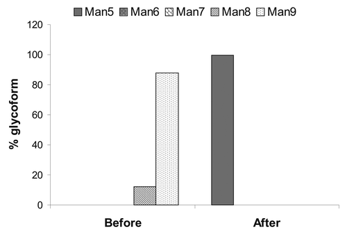 Figure 4. High mannose glycoform distribution before and after enzymatic trimming using Aspergillus saitoi α-1,2-mannosidase.