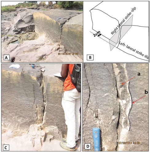 Figure 8. Cross-cutting relationship between sinistral strike-slip fault and dextral strike-slip fault. The sinistral strike-slip fault is displaced by dextral strike-slip fault over 2 cm of offset. (A) Cross-cutting relationship. (B) Sketch of cross-cutting relationship of sinistral fault (Z1) and dextral fault (Z2) in A. (C) and (D) Corrugation (b) and crushed rock (a) within the surface of Z2.