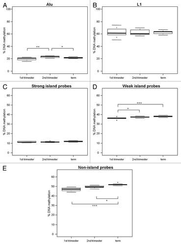 Figure 5. Increase in DNA methylation at weak and non-islands throughout gestation. DNA methylation in 1st trimester (n = 10), 2nd trimester (n = 11) and term (n = 10) placental villi was measured with (A) % Alu, (B) % L1, (C) strong island probes, (D) weak island probes and (E) non-island probes. There was no change in L1 or strong island methylation, but a notable increase in methylation at weak and non-islands throughout gestation. Significance is indicated by *p < 0.05, **p < 0.001, ***p < 0.0001.