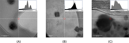 Figure 2 TEM image of (A) standard cubosomal nanoparticles (SCNPs), (B) cationic cubosomal nanoparticles (CCNPs), and (C) chitosan-coated cubosomal nanoparticles (ChCNPs). It corresponds to the final product loading with paliperidone palmitate.
