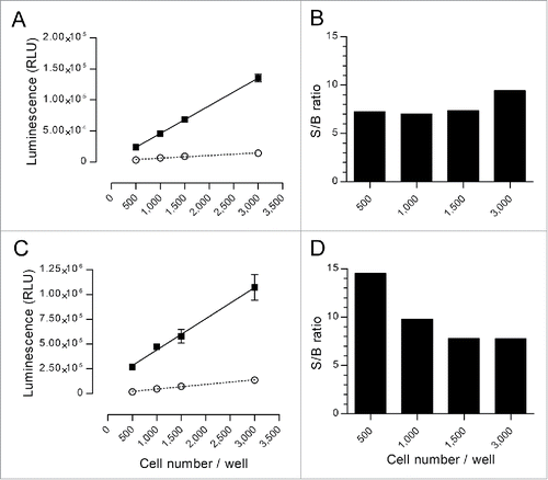 Figure 1. Characterization of the spontaneous and maximum release signals of nanoluciferase-expressing cells. Varying numbers of nanoluciferase-expressing Raji (A and B) or SKOV-3 (C and D) cells were incubated in triplicates for 4 h at 37°C in RPMI-1640 with 5% FBS that contained an irrelevant monoclonal Ab (trastuzumab for the Raji cells and rituximab for the SKOV-3 cells) and ADCC effector cells (E:T = 10:1), in the presence or absence of Triton X-100 to measure the maximum and spontaneous release signals, respectively, in a typical ADCC experimental setting. The nanoluciferase signal was measured as described in the Materials and Methods section. Left graphs (A and C) represent the measured spontaneous (open circles) or maximum (black squares) signals released by the different amounts of cells (mean ± SD). Linear regressions were performed for each set of data and are shown in the left graphs (dotted line for spontaneous and solid line for maximum release). For each evaluated amount of cells per well, the S/B ratio was calculated as the mean of the maximum signal divided by the mean of the spontaneous release and is shown in the right graphs (B and D).