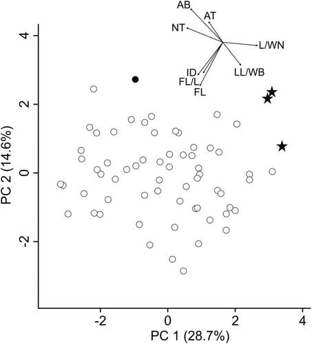 Figure 6. Principal component analysis of Euphrasia minima (white dots), E. “Ultental” (stars) and E. inopinata (black dot) illustrating the morphological differentiation between the two last-mentioned diploid, albeit distantly related (Figure 4), entities (large dataset). Arrows in the inset represent the contribution of the characters to the overall explained variation. The arrows start at 0/0 and have been shifted to the upper right corner to ease legibility of the figure. Abbreviations of morphometric characters correspond to Table 2.