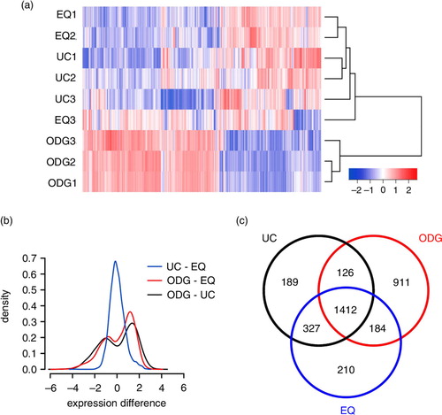 Fig. 6 Agilent microarray-based RNA profiling of exosome samples. (a) Heatmap showing unsupervised hierarchical clustering of samples. Code from blue (−2 log2 normalized expression) to red (+2 log2 normalized expression) indicates RNA expression levels. NB: Replicates 1 and 2 are technical, 3 is biological. (b) Plot showing mean expression difference and corresponding density of probes for the 3 different methods. (c) Venn diagram of unique and shared mRNAs in UC, ODG and EQ samples.