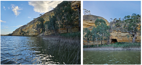 Figure 3. (Left) view looking west (downstream) along the Cave Cliffs escarpment from outside of the shelter and (right) a view looking north from the river to the shelter entrance (2 May 2022).