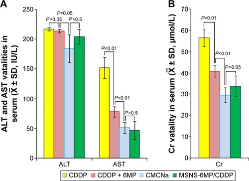 Figure 9 Serum ALT, AST and Cr levels of the mice treated with CMCNa, CDDP, CDDP plus 6MP and MSNS-6MP/CDDP.