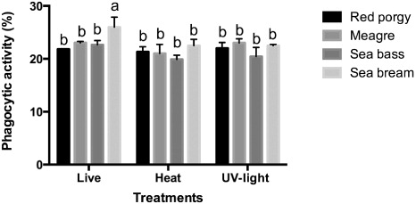 Figure 3. Phagocytic activity of HK leucocytes from different species after incubation with live and inactivated bacteria. Data shown as mean with standard deviation as error bars. Significant difference (P < 0.05).