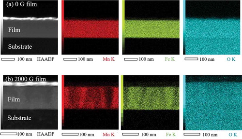 Figure 4. Cross-sectional STEM image and corresponding EDS elemental maps of Mn K, Fe K, and O K signals for (a) 0 G and (b) 2000 G Mn ferrite films, where Mn, Fe, and O elements are represented as red, green, and cyan colors, respectively.