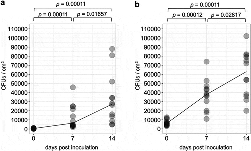 Figure 2. The number of colonies forming units over time detected on tomato leaflets treated with conidial suspension of 1 × 105 (a) or 1 × 106 (b) conidia/ml of a GFP-expressing strain Amgfp derived from Akanthomyces muscarius IMI 268317. Lines indicate medians.