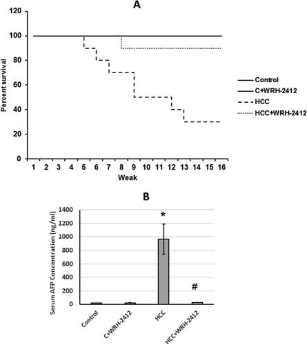 Figure 2. Effect of 5 mg/kg WRH-2412 on survival rate and AFP serum levels in HCC rats. (A) Survival rate represented as Kaplan-Meier curve. (B) AFP serum levels in the experimental groups. Values are presented as the mean ± SEM, *p < 0.05 vs. control; #p ≤ 0.05 vs. HCC group; AFP: α-fetoprotein; HCC: hepatocellular carcinoma; C: control.