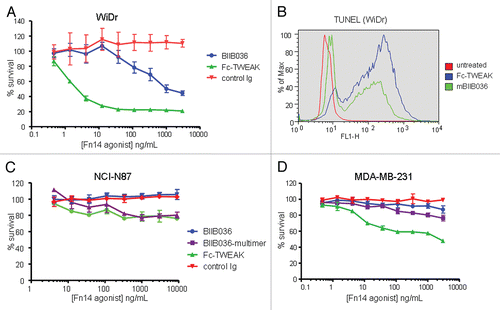 Figure 4 BIIB036 can induce tumor cell killing in vitro. (A) MTT assay was performed with WiDr cells treated with a range of doses of Fc-TWEAK, BIIB036 or human Ig control antibody in the presence of IFNγ for four days. Results are graphed as percent survival relative to control IFNγ treated WiDr cells. (B) A TUNEL assay was performed with WiDr cells treated with BIIB036 for 48 h in the presence of IFNγ. TUNEL-positive cells are observed in BIIB036-treated but not control cells. Fc-TWEAK was included in this experiment as a positive control. (C) MTT assay was performed with NCI-N87 cells treated with a range of doses of Fc-TWEAK, BIIB036-multimer, BIIB036 or Ig control in the presence of IFNγ for 3 days. Results are graphed as percent survival relative to control IFNγ treated NCI-N87 cells. (D) MTT assay was performed with MDA-MB-231 cells treated with a range of doses of Fc-TWEAK, BIIB036-multimer, BIIB036 or Ig control in the presence of IFNγ for four days. Results are graphed as percent survival relative to control IFNγ treated MDA-MB-231 cells.