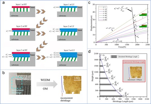 Figure 3. Evolution of inconsistent shrinkage during the additive manufacturing process. a Accumulation of shrinkage during the additive process. b Experimental inconsistent shrinkage. c Calculated shrinkage of each layer under the assumption of constraining force. d Comparison of calculated and experimental inconsistent shrinkage of the part (t = 2 mm).