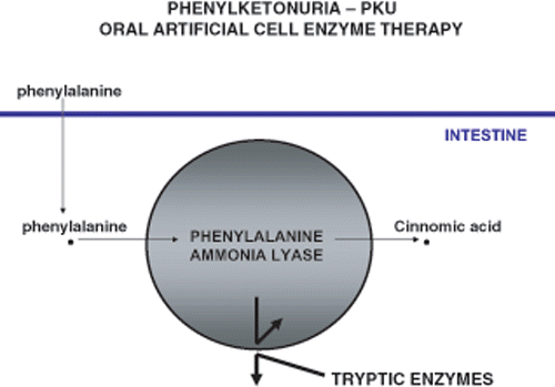 Figure 5. Oral artificial cells containing phenylalanine ammonia lyase for the removal of systemic phenylalanine in the most common inborn error of metabolism, phenylketonuria.