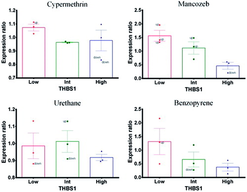 Figure 2. Thrombospondin-1 (THBS1). Expression profile in exposed PBMC cultures. (A) Cypermethrin. (B) Mancozeb. (C) Urethane. (D) Benzopyrene.