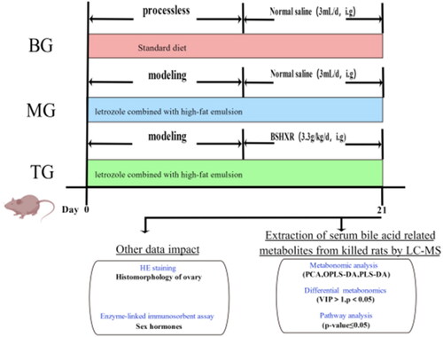 Figure 1. Overview of experimental design (made with figdraw).