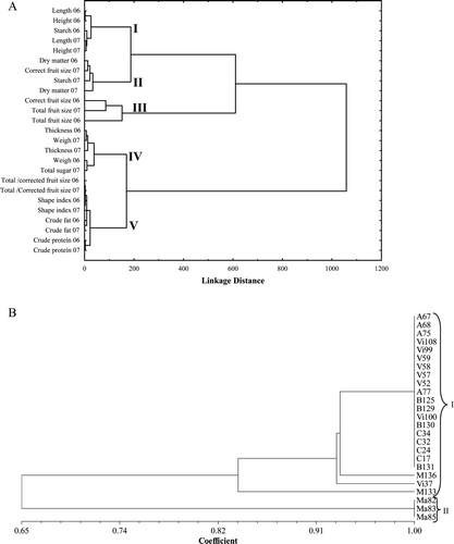 Supplementary Figure 4. Dendrogram (A) built according the morphological and chemistry data and dendrogram showing the genetic similarity among different ecotypes (B). Figura adicional 4. Dendrograma construido según valores morfológicos y químicos (A), y dendrograma mostrando la similitud genética entre los ecotipos (B).