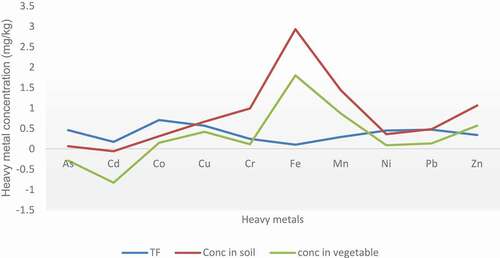 Figure 6. The relationship between transfer factor and heavy metal concentration in the soil and in the vegetables (carrot and cabbage)
